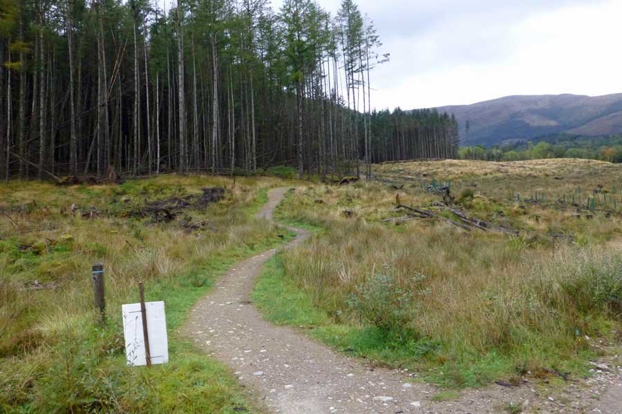 Glencoe Woodland Walk