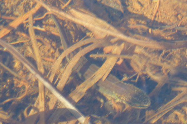 Take time to look to admire the wildlife