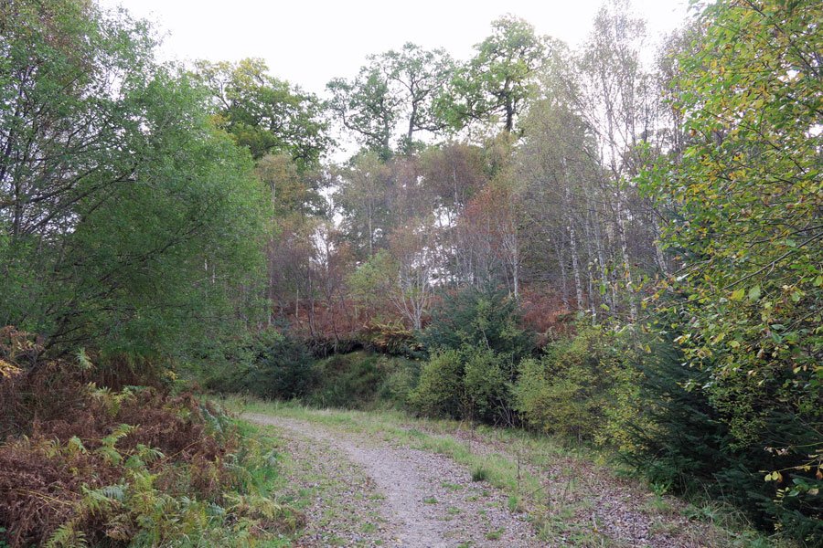 Killiechonate Woodland Walk