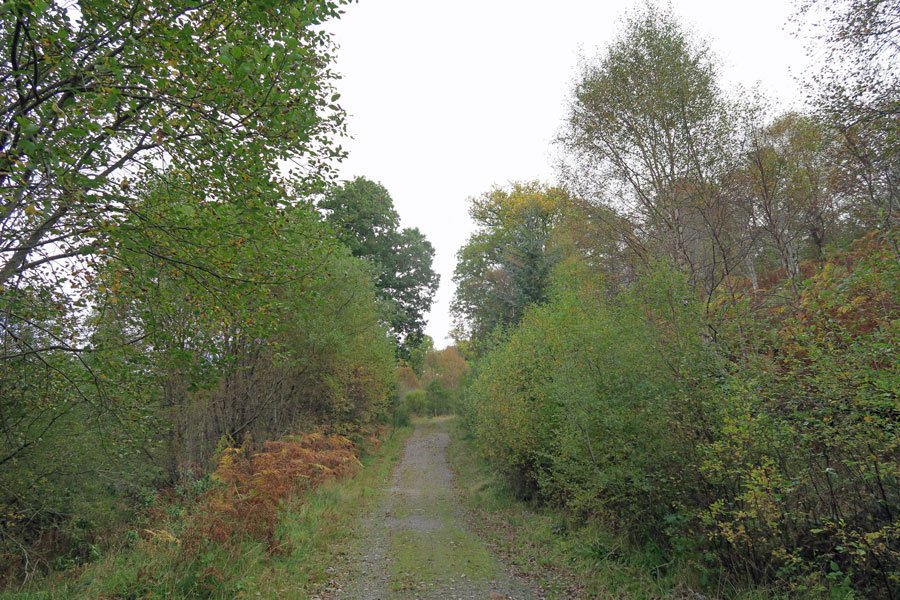 Killiechonate Woodland Walk