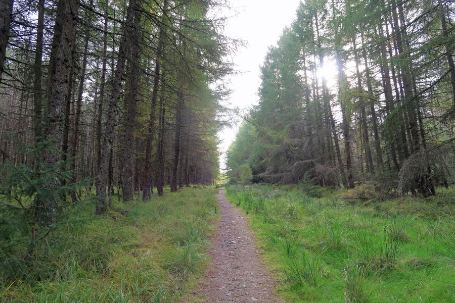 Killiechonate Woodland Walk