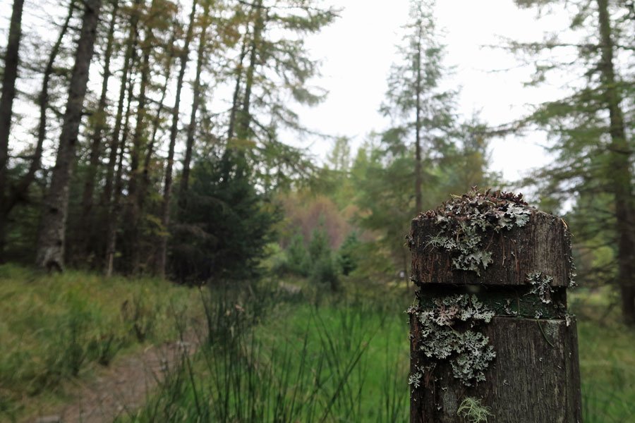 Killiechonate Woodland Walk