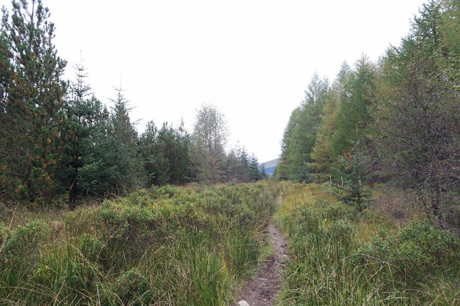 Killiechonate Woodland Walk