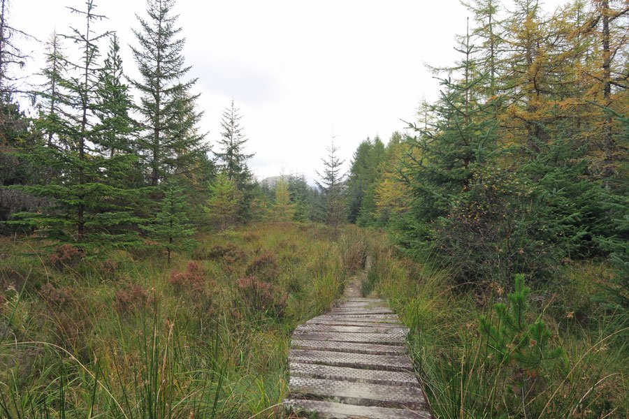 Killiechonate Woodland Walk