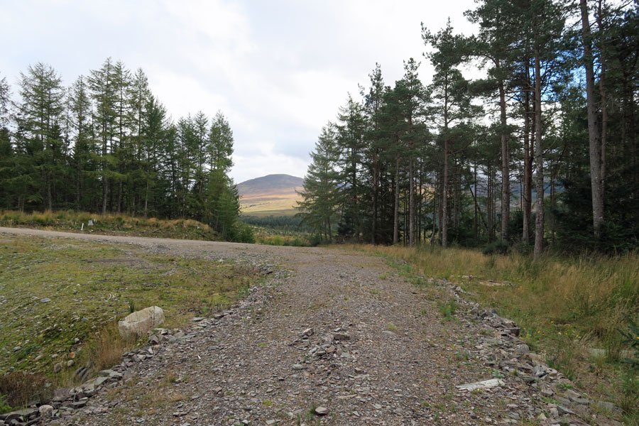 Killiechonate Woodland Walk