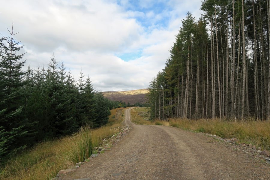 Killiechonate Woodland Walk