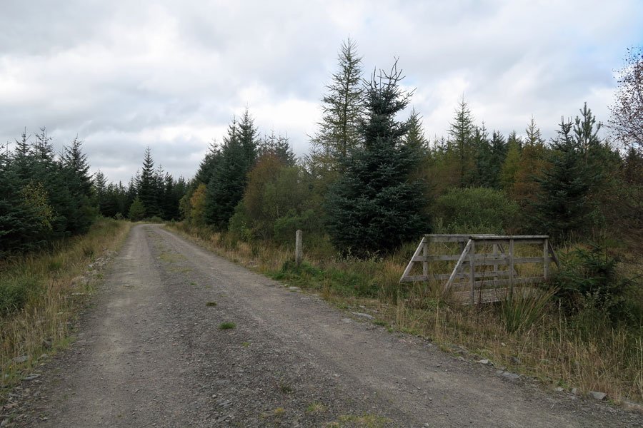 Killiechonate Woodland Walk