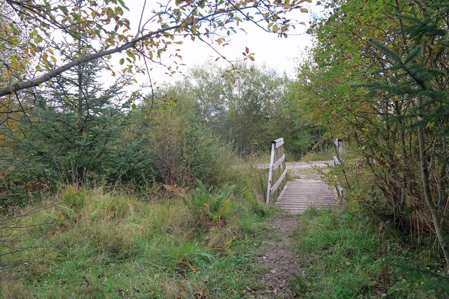 Killiechonate Woodland Walk