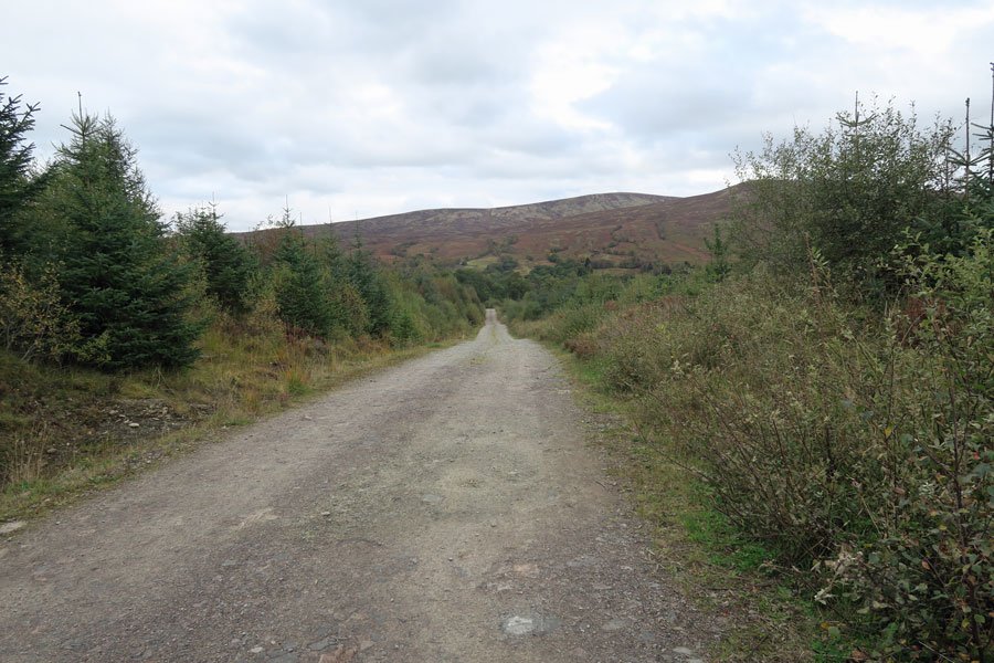 Killiechonate Woodland Walk