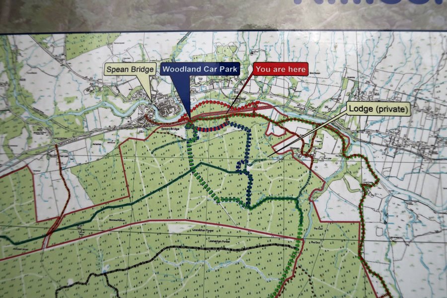 Killiechonate Woodland Walk