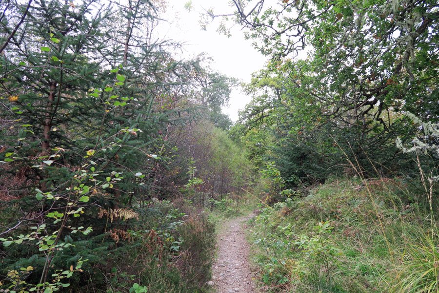 Killiechonate Woodland Walk