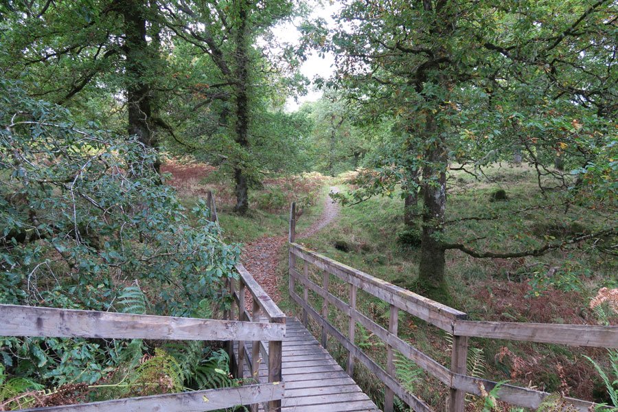 Killiechonate Woodland Walk
