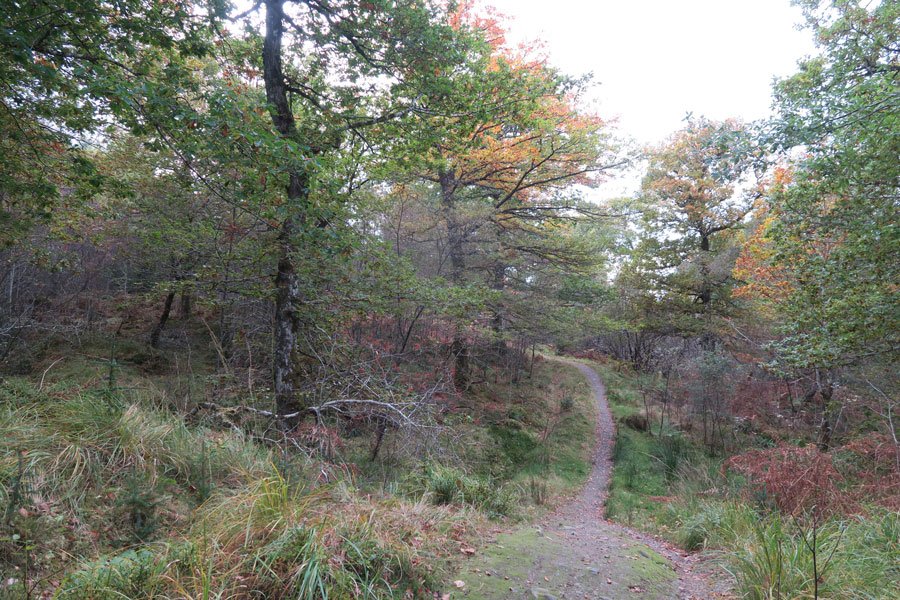 Killiechonate Woodland Walk