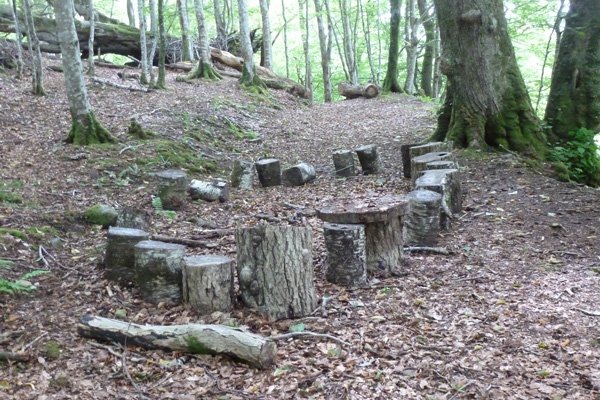 A sure sign of pixies and wood nymphs