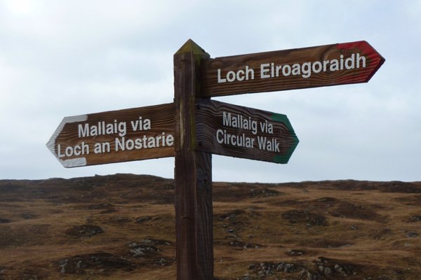 The three colour coded walks