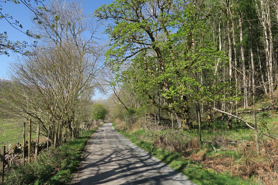 Walking along the minor road at the start of the walk