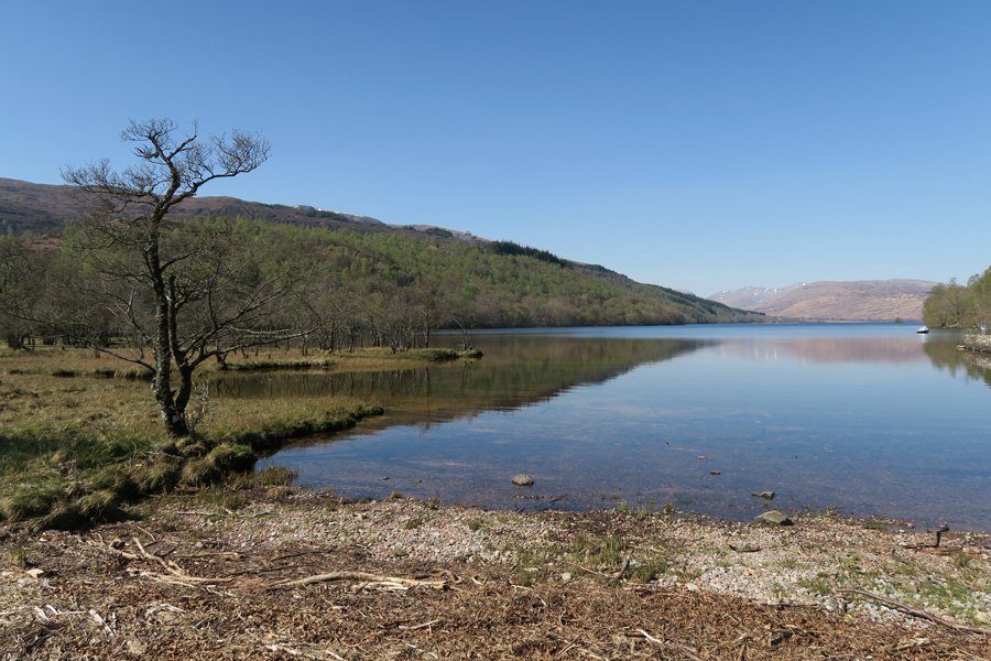 The eastern shores of Loch Arkaig