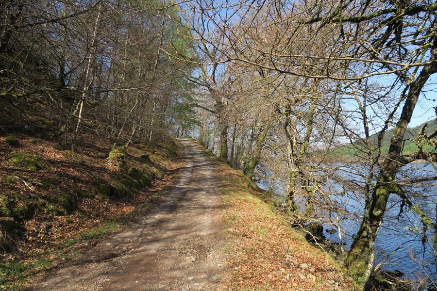 The track right along the southern shores of Loch Arkaig