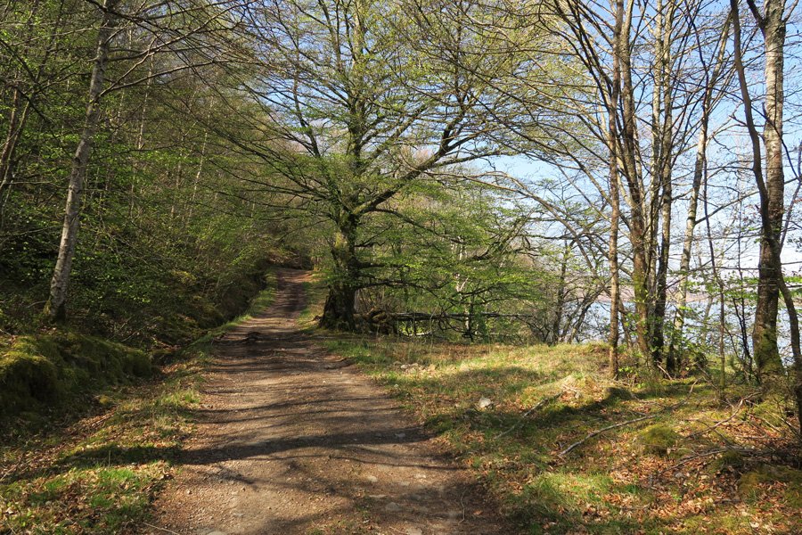 The track right along the southern shores of Loch Arkaig