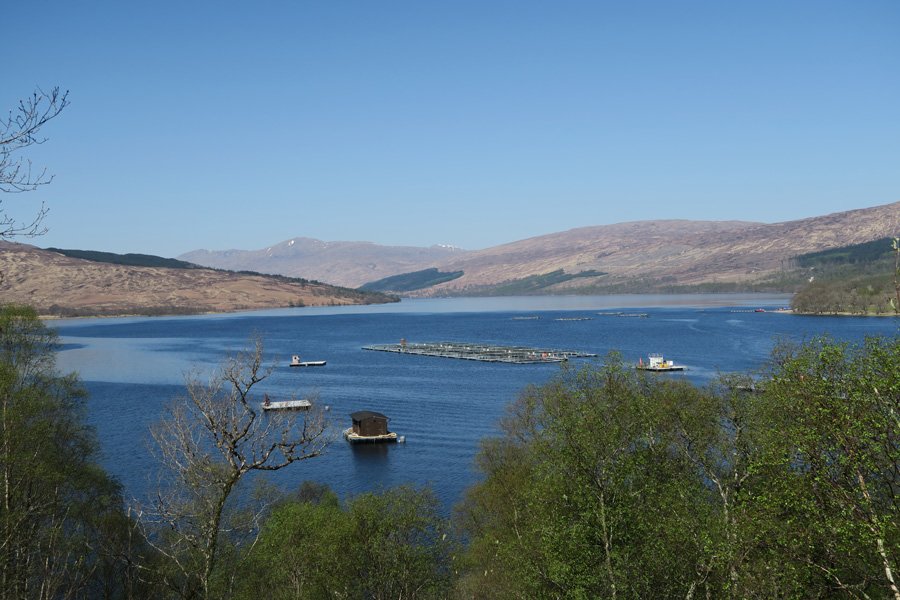 Fabulous views across Loch Arkaig