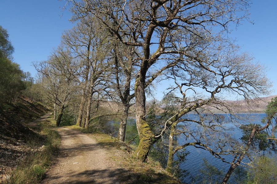 The track continues along the southern shores of Loch Arkaig