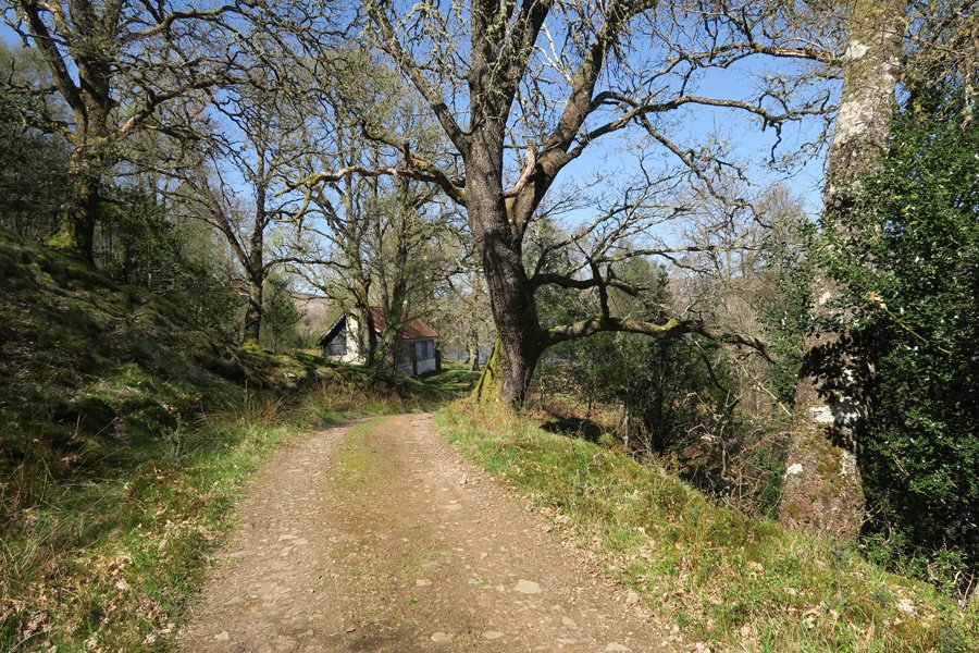 A first view of the old house
