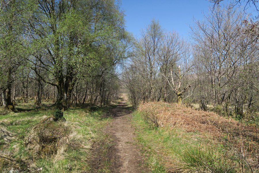 The path to Invermallie Bothy