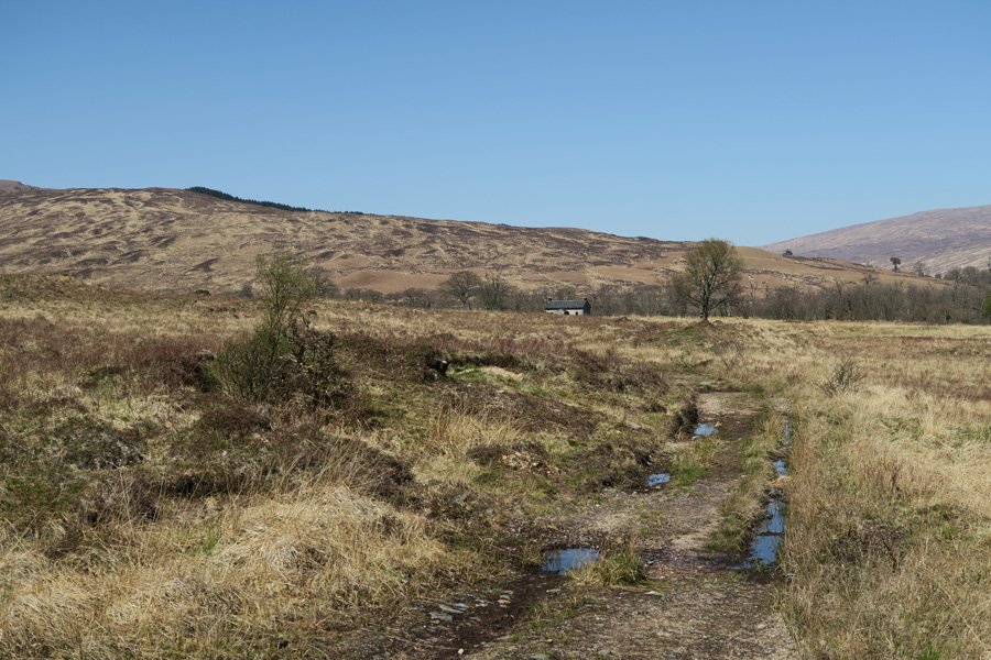 The path can be boggy in places