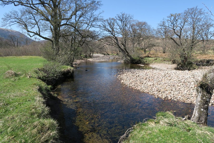 The River Mallie