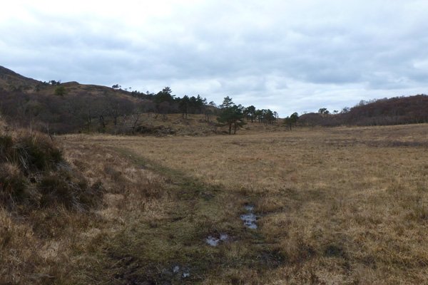 The path can be quite boggy