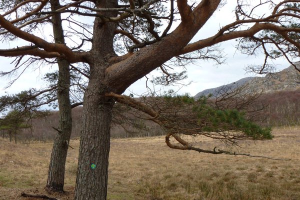 The path is fairly well waymarked