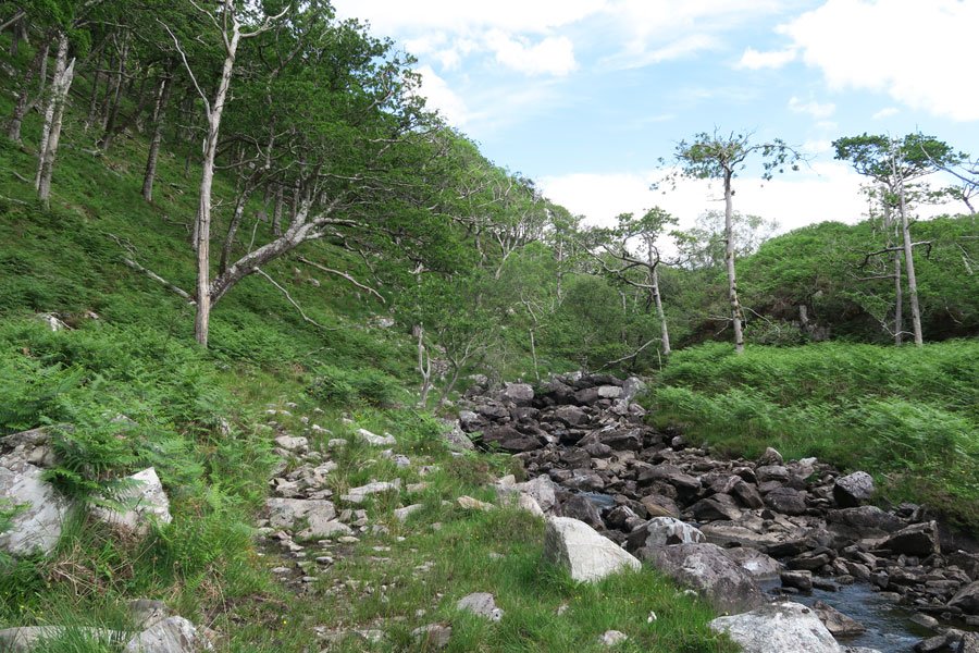 Loch Mama Walk