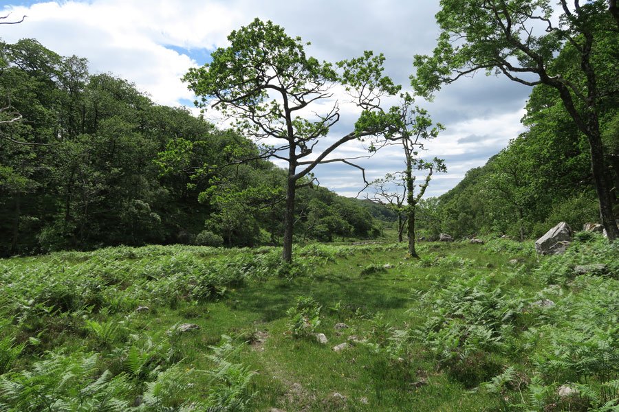 Loch Mama Walk