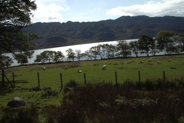 The start of the walk at Loch Morar