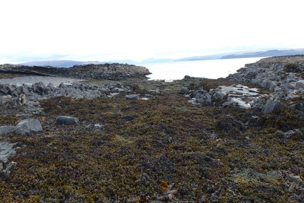 Rocky shoreline and shingle beach at low tide
