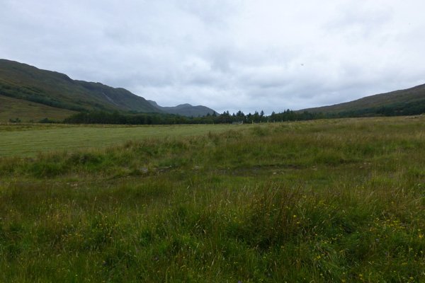 View over wet meadow on North Side Trail
