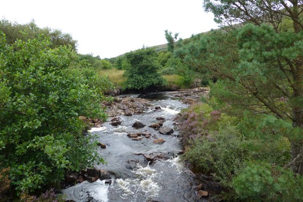 Kinloch Burn 