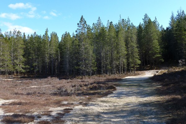 The track leading to the Singing Sands at Camus an Lighe