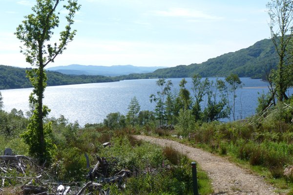 The footpath near Loch Shiel