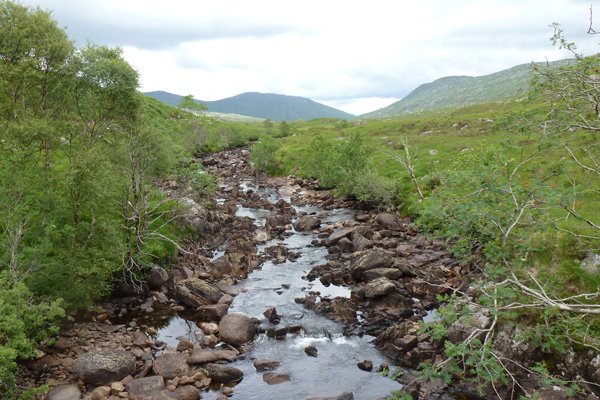 Looking north from the bridge crossing Black Water