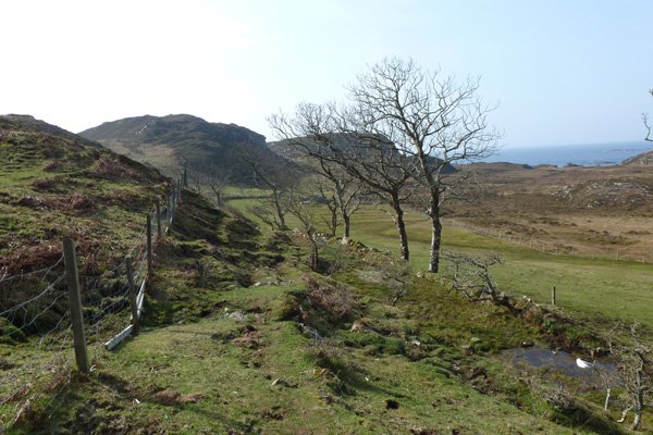 The path crosses grassland to the beach af the end of the track to Rhu House