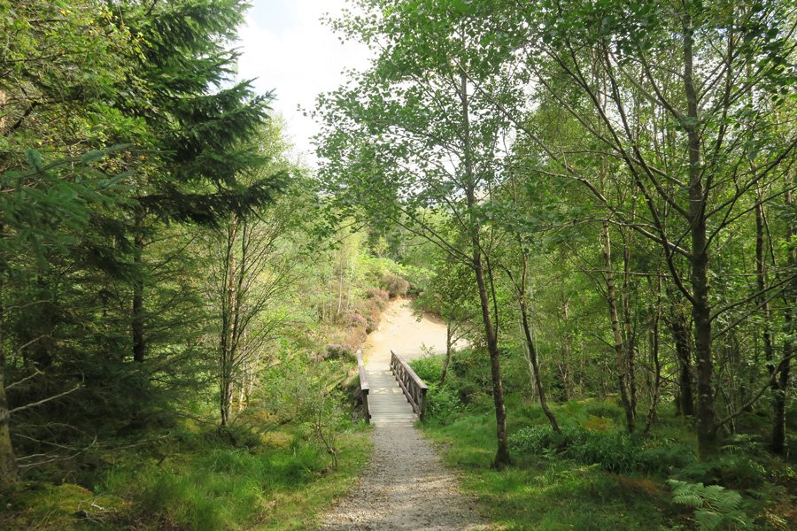 The bridge over The River Lundy