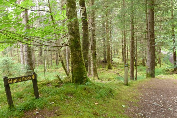 Take the way-marked path to Signal Rock 