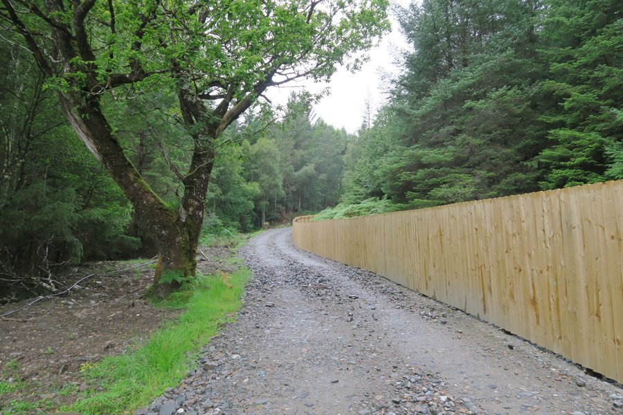 A new rough section of path at the start of the plantation area