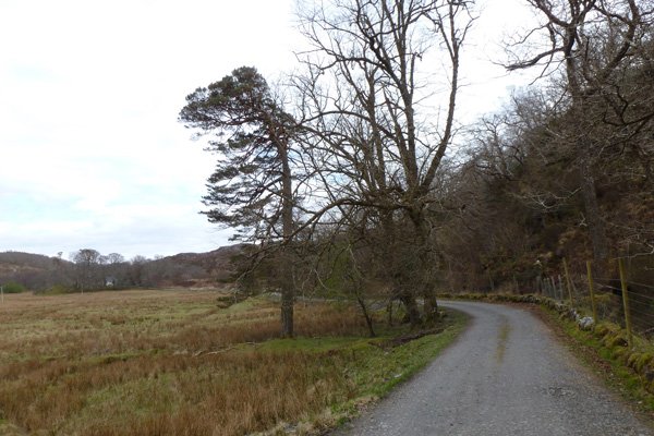 The farm track past Glen Cottage