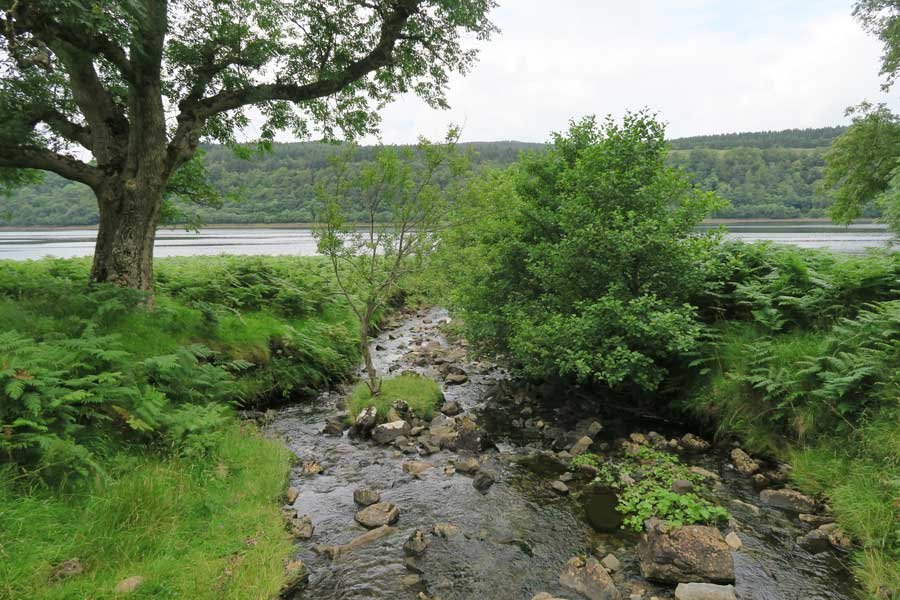 Tennyson's Waterfall Walk, Ardtornish, Morvern
