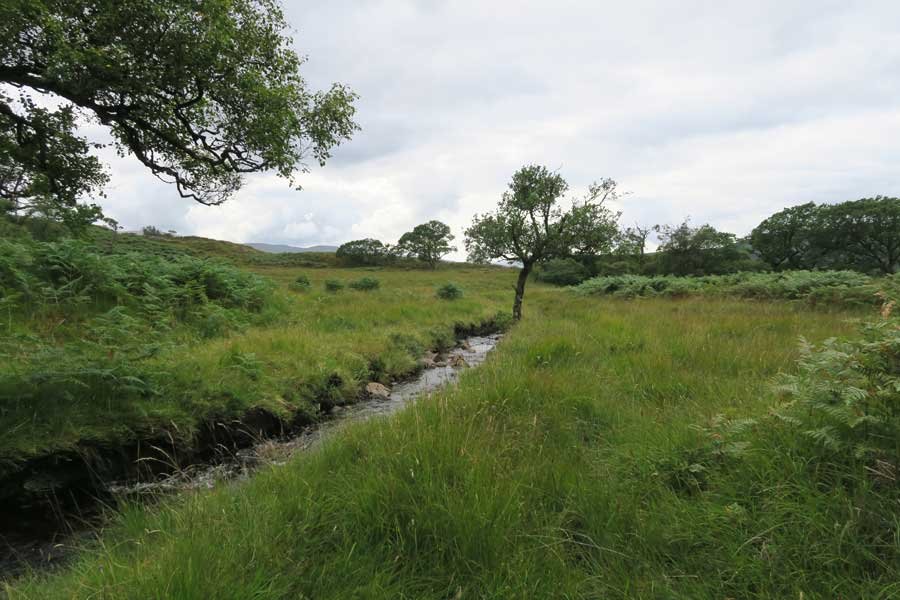 Tennyson's Waterfall Walk, Ardtornish, Morvern