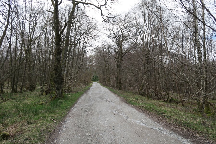 The track to Corriechoille