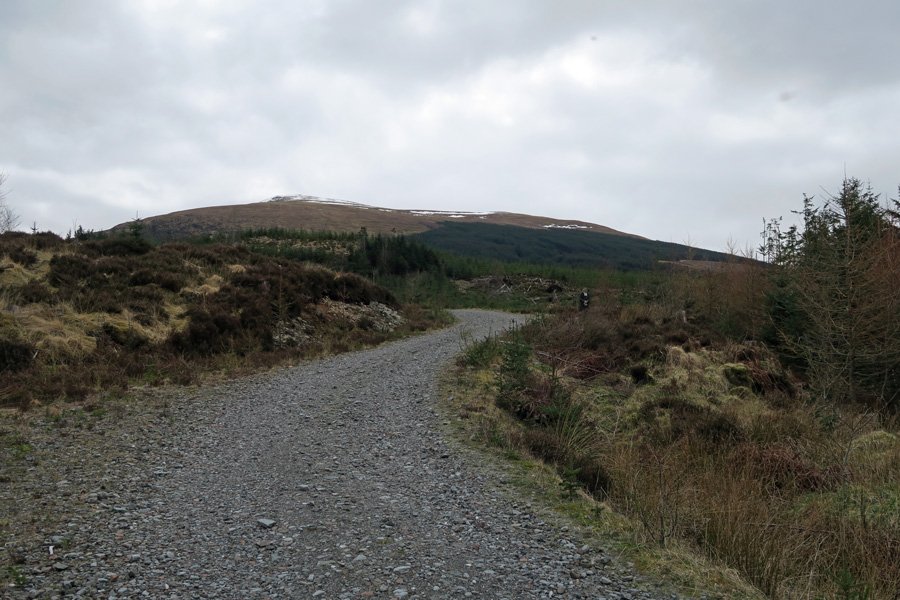 A first sight of The Wee Minister