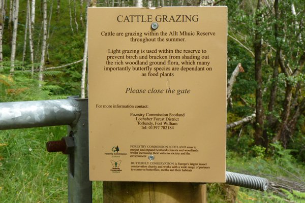 Allt Mhuic is largley managed by for chequered Skippers